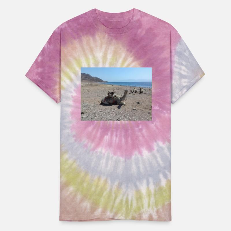 Camels on the sand of the Red Sea