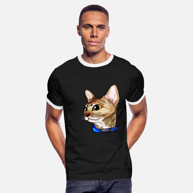 Devon Rex Cat Cats Kitty Love Sweet Cute Face