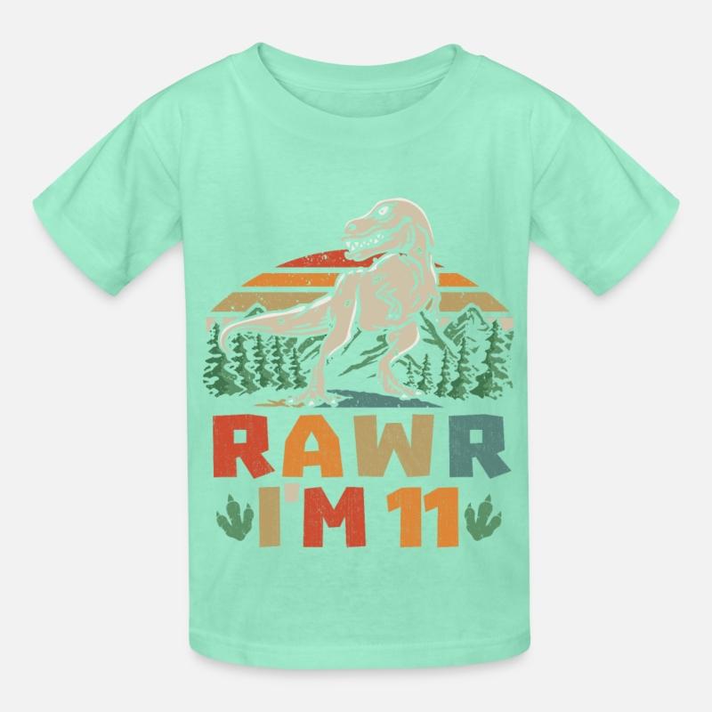 11th Birthday Dinosaur T Rex I'm 11 For Boys