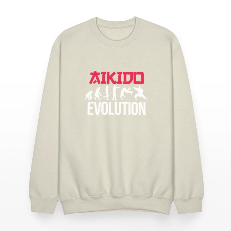 Aikido Evolution