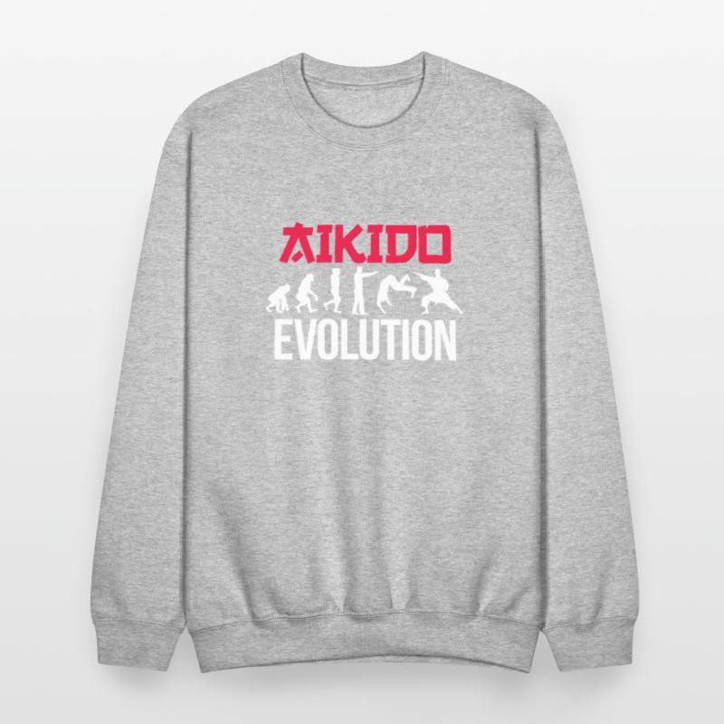 Aikido Evolution
