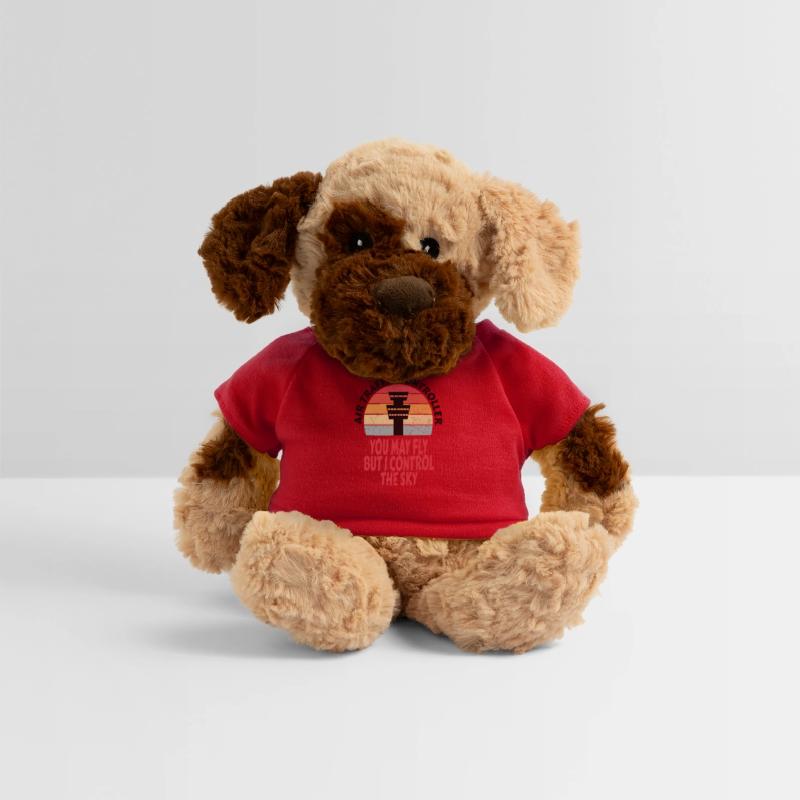 Air traffic controller Air traffic controller Job