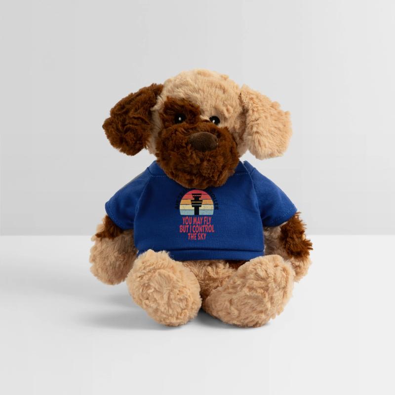 Air traffic controller Air traffic controller Job