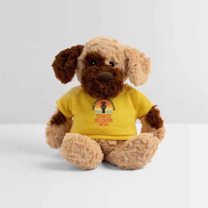 Air traffic controller Air traffic controller Job