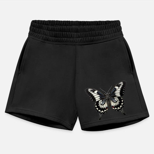 Butterfly Colorful Enchanting Delicate Insects