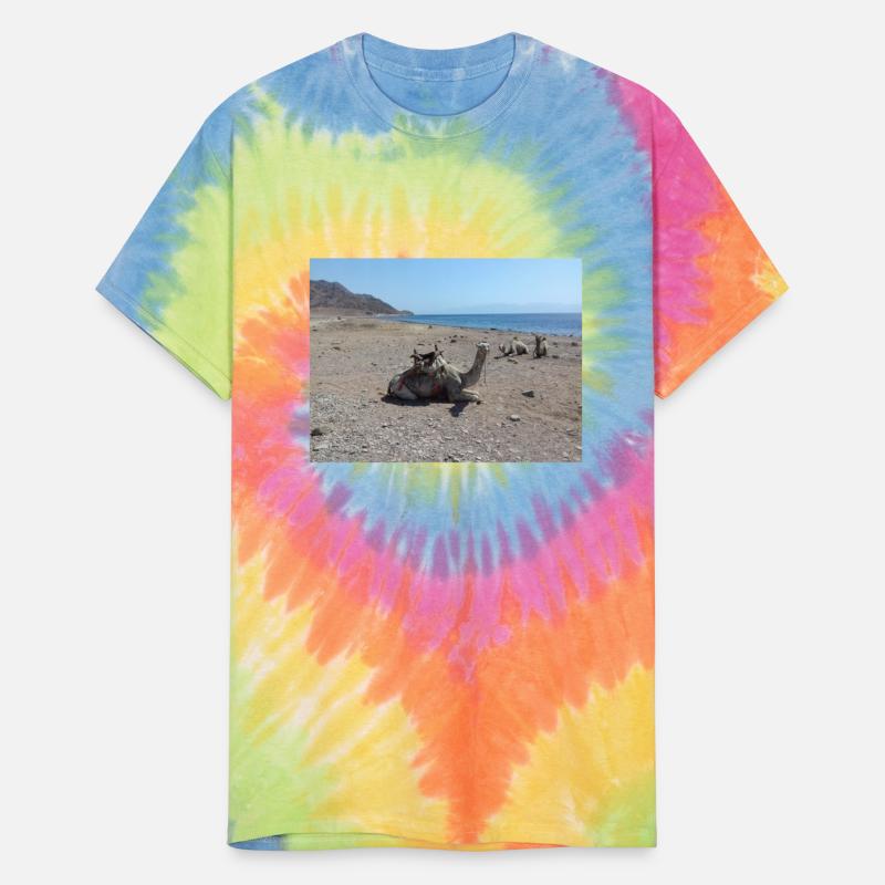 Camels on the sand of the Red Sea