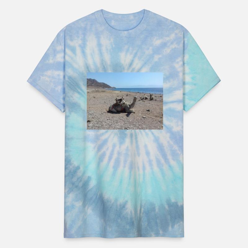 Camels on the sand of the Red Sea