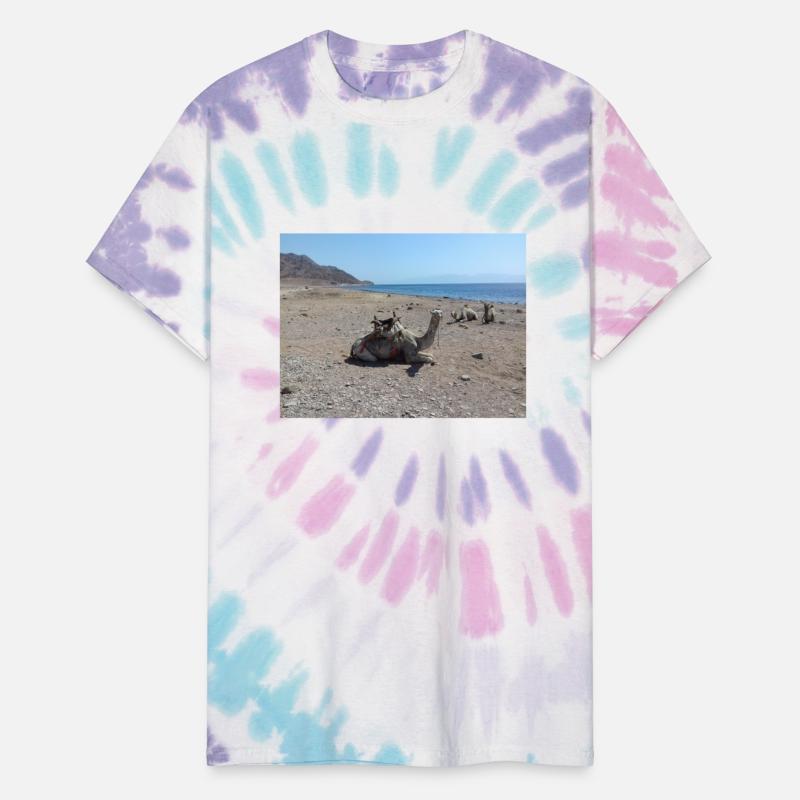 Camels on the sand of the Red Sea