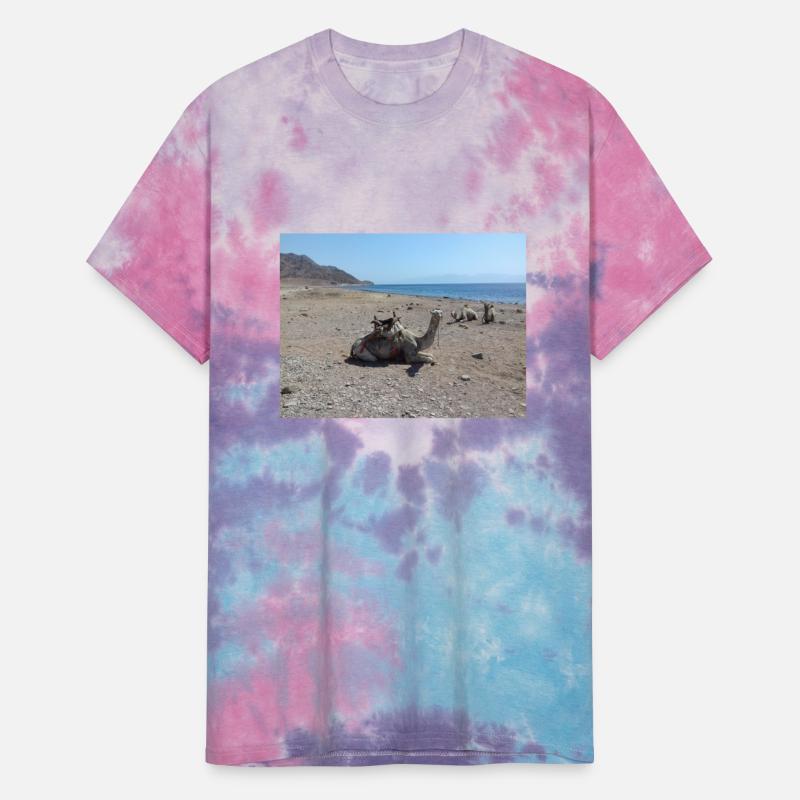 Camels on the sand of the Red Sea