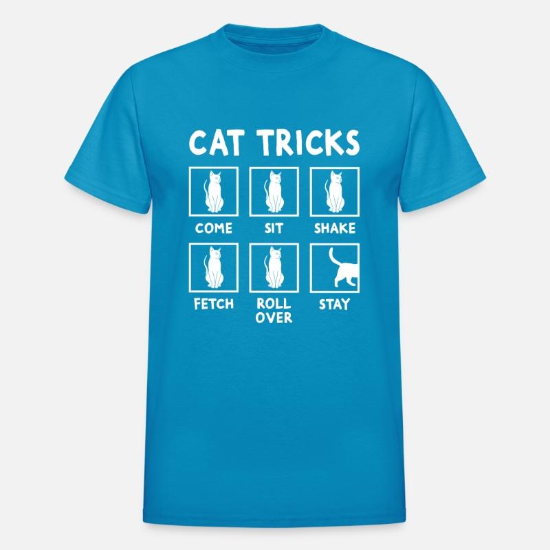Cat tricks for cats pet owner lover