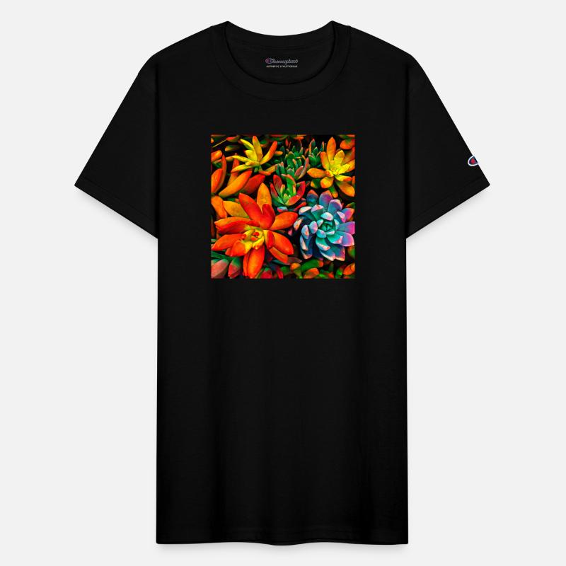 Colorful Succulents 1301