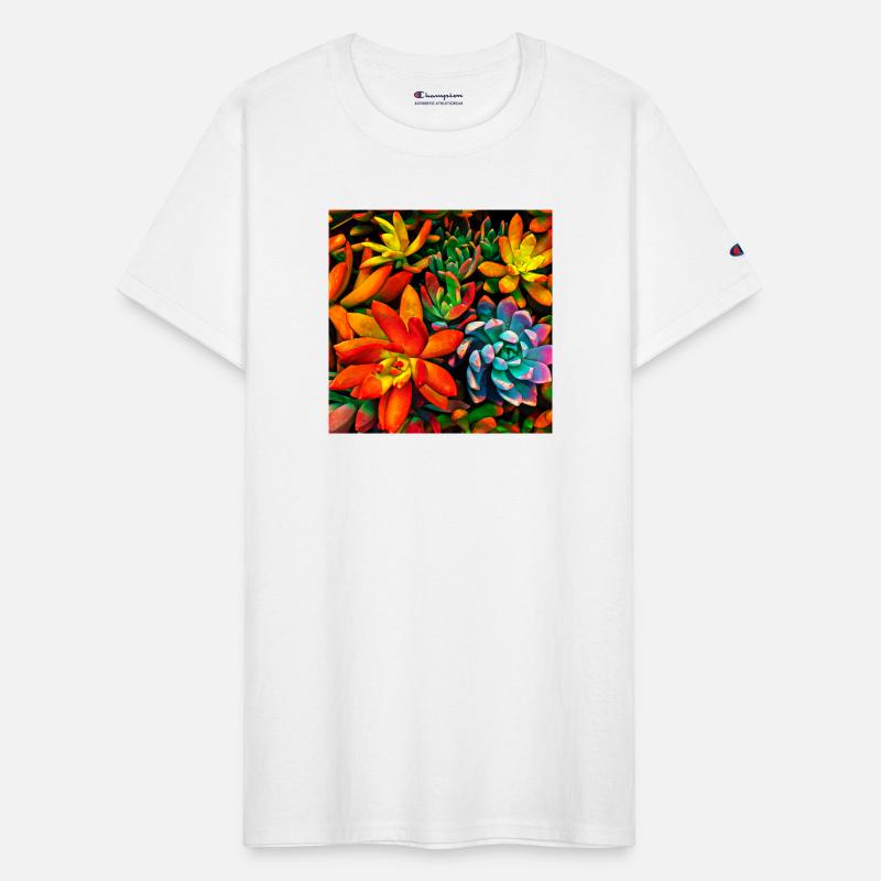 Colorful Succulents 1301