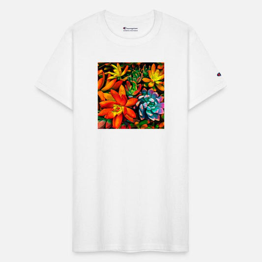 Colorful Succulents 1301