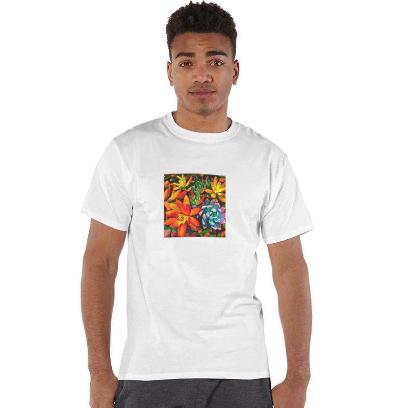 Colorful Succulents 1301