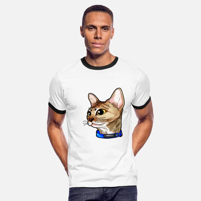 Devon Rex Cat Cats Kitty Love Sweet Cute Face