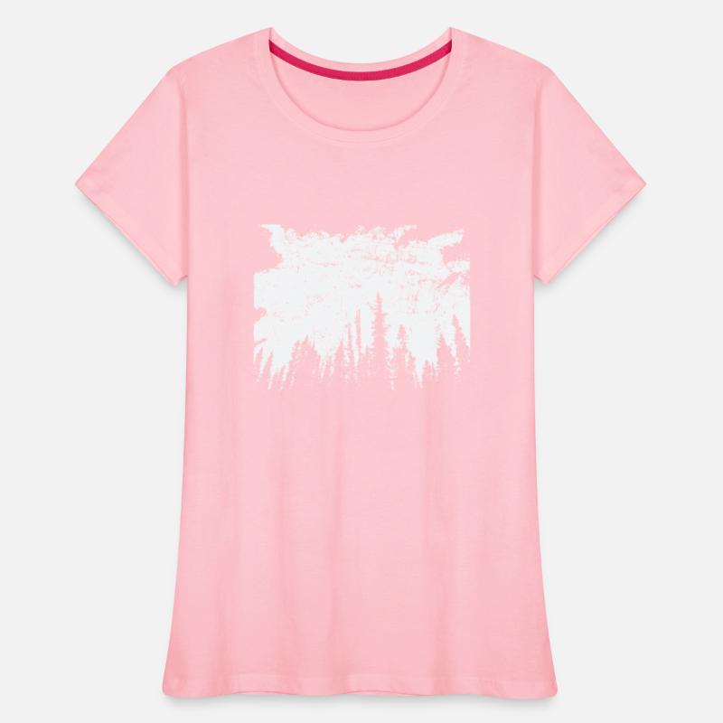 Forest at Night Nature Leaves Environment