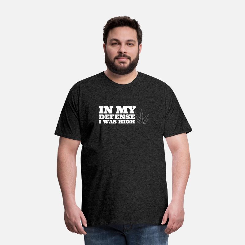 In My Defense I Was High